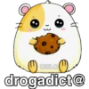 H O CIELO drogadict@