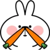 Spoiled Rabbit Face2 29