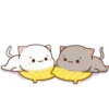 MOCHI MOCHI 30