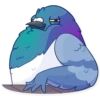 Pigeon 2 20