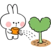 Spoiled Rabbit Heart B 24