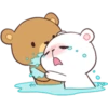 BEAR COUPLE 30