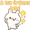 Usagi Rabbit 5