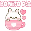 Usagi Rabbit 8