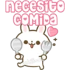 Usagi Rabbit 9