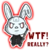 SOL Killer Bunnies 5