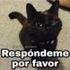 @Harley Stickers Respóndeme por favor