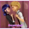 Ladybug 🐞 7