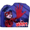 Ladybug 🐞 9