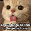 @Harley_Stickers Lo que tengo de lindx lo tengo de horny