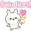Usagi Rabbit 13