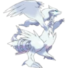 Pokémon 8