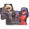 Ladybug 🐞 11