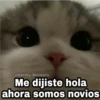 @Harley Stickers Me dijiste hola ahora somos novios