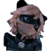 Ladybug 🐞 16