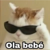 @Harley Stickers Ola bebé