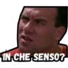 IN CHE SENSO?