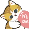 Gatitos Heart 15