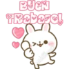 Usagi Rabbit 20