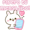 Usagi Rabbit 21