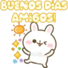 Usagi Rabbit 22