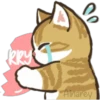 Gatitos Heart 20