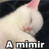 @Harley Stickers A mimir