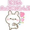 Usagi Rabbit 23