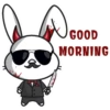 SOL Killer Bunnies 12