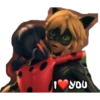 Ladybug 🐞 24