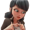 Ladybug 🐞 25