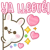 Usagi Rabbit 25