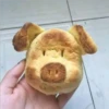 Chipas 22