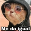 @Harley Stickers Me da igual