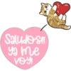 Gatitos Heart 24