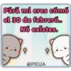 DÍGALO Y YA! MOCHI CAT 24