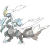 Pokémon 24