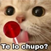 @Harley Stickers Te lo chupo?
