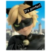 Ladybug 🐞 27