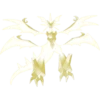 Pokémon 28