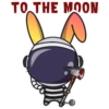 SOL Killer Bunnies 17