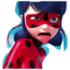 Ladybug 🐞 29