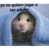 ya no quiero jugar a ser adulto