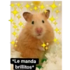 Le manda brillitos