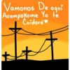 Amorcito BB   te amo 7 8