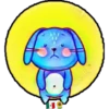 Coelho fofo 7