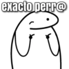 exacto perr@
門