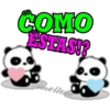 pandita ameltom 8