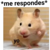 *me respondes* yo