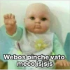 Webos pinche vato
meco jsjsjs